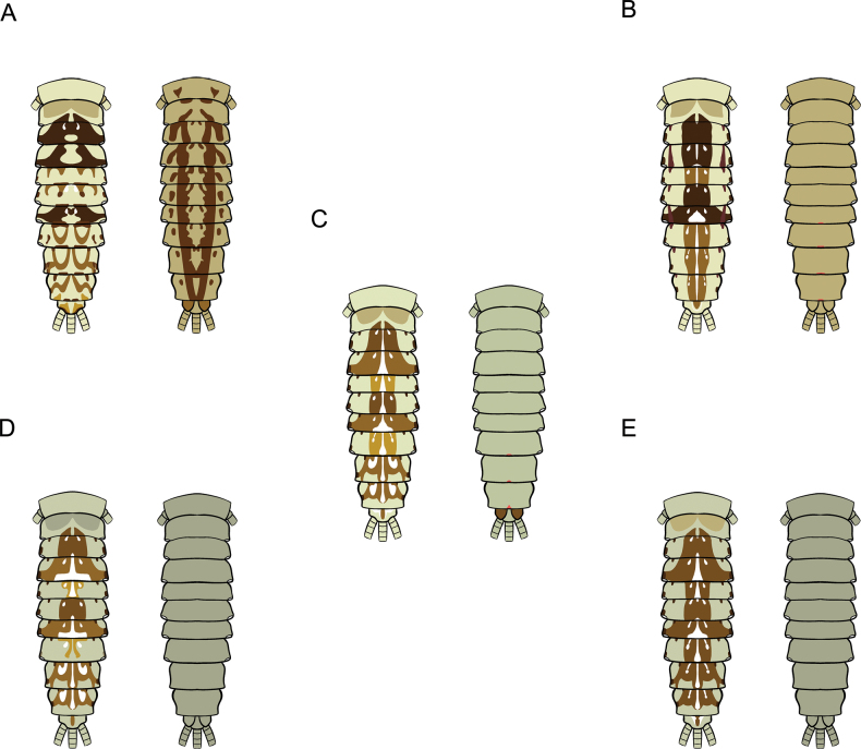 Figure 27