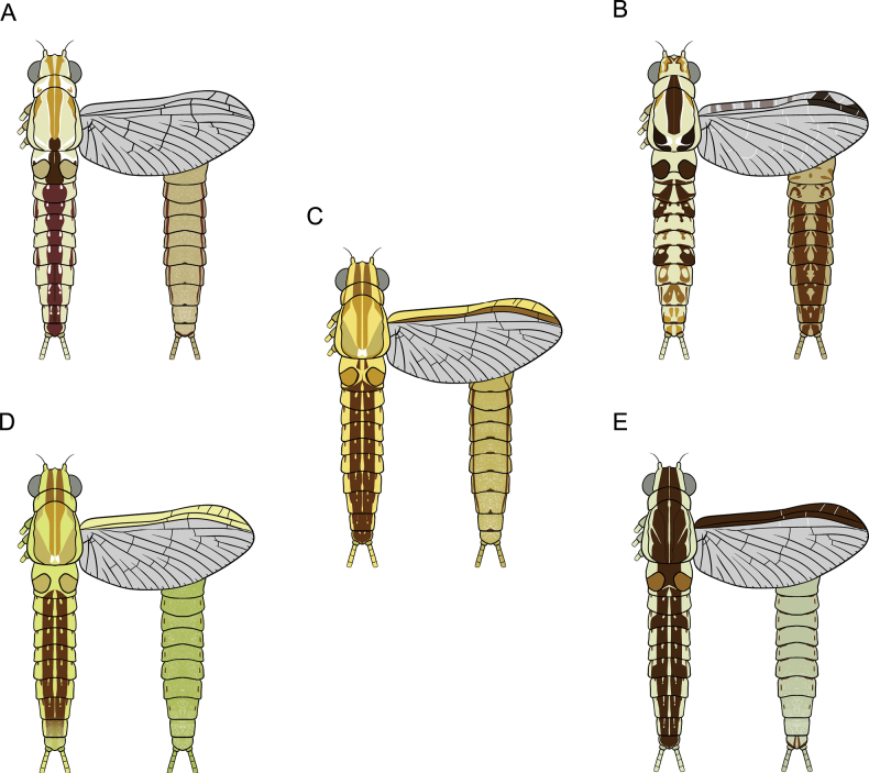 Figure 28