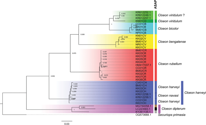 Figure 30