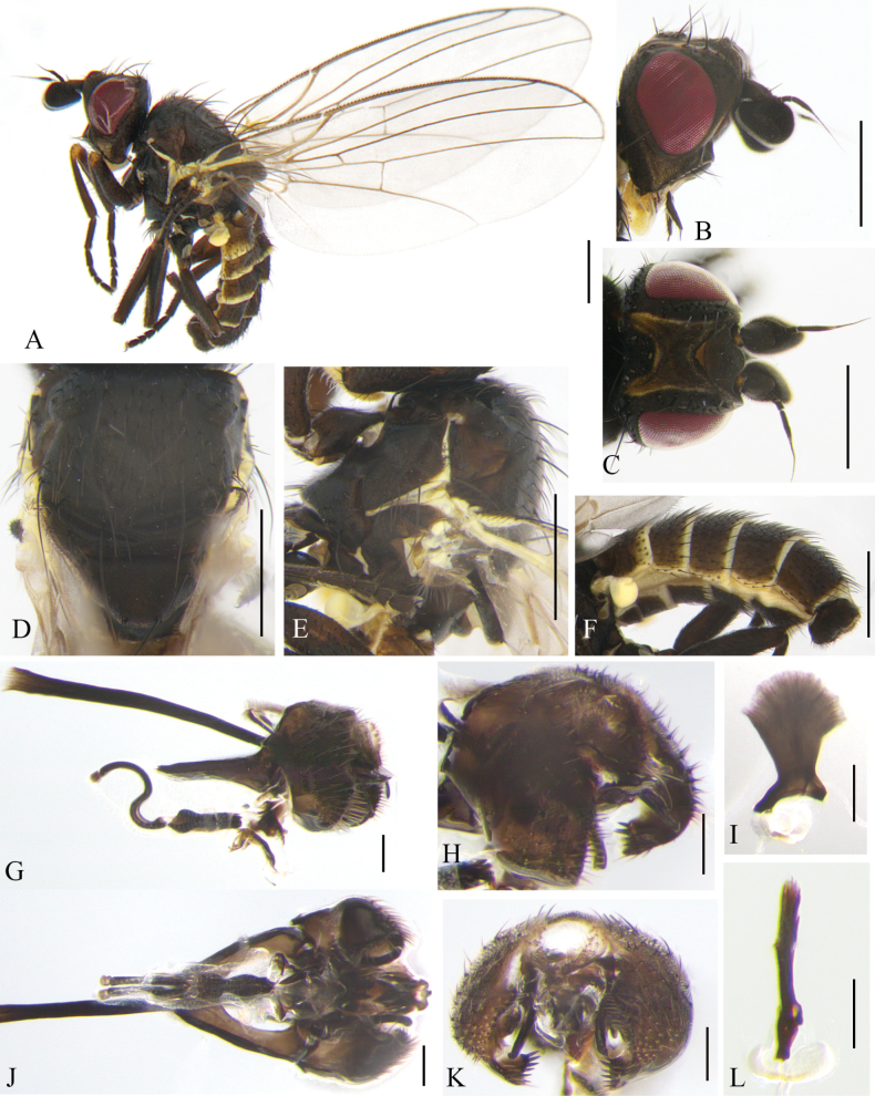 Figure 10