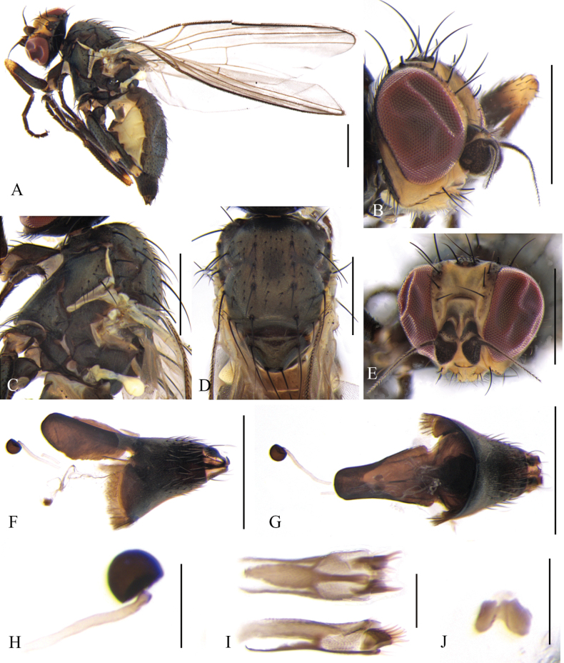 Figure 13