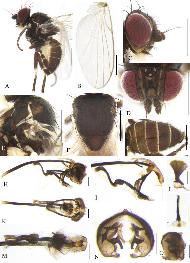 Figure 14