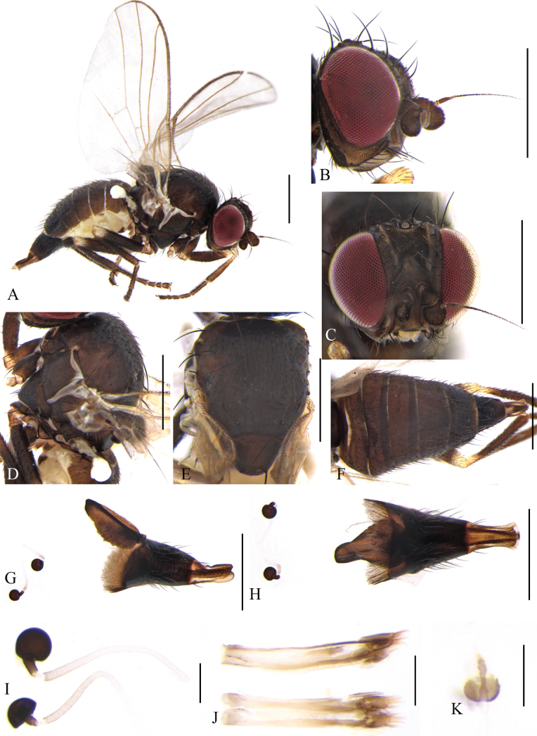 Figure 15