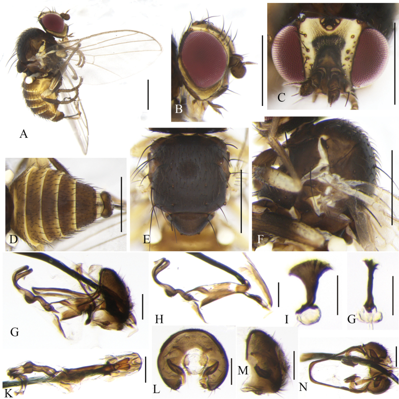 Figure 16