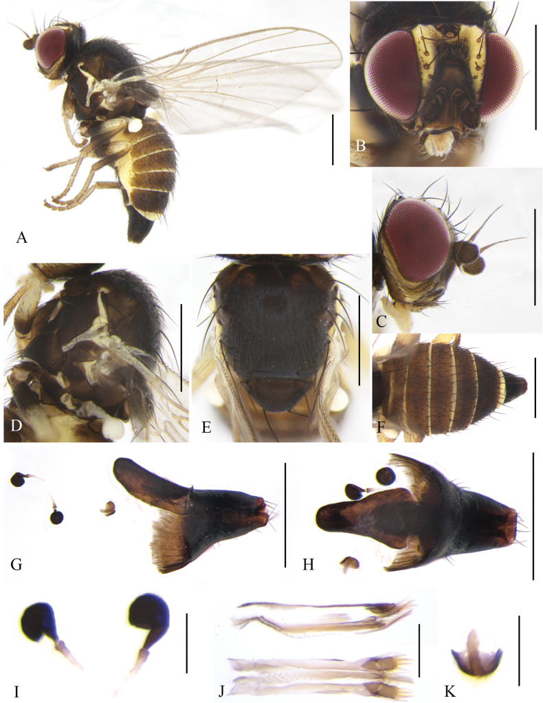 Figure 17