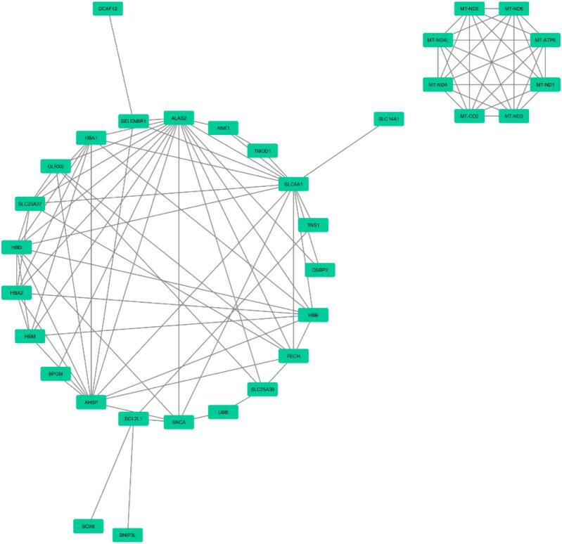 Figure 6