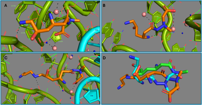 Figure 7