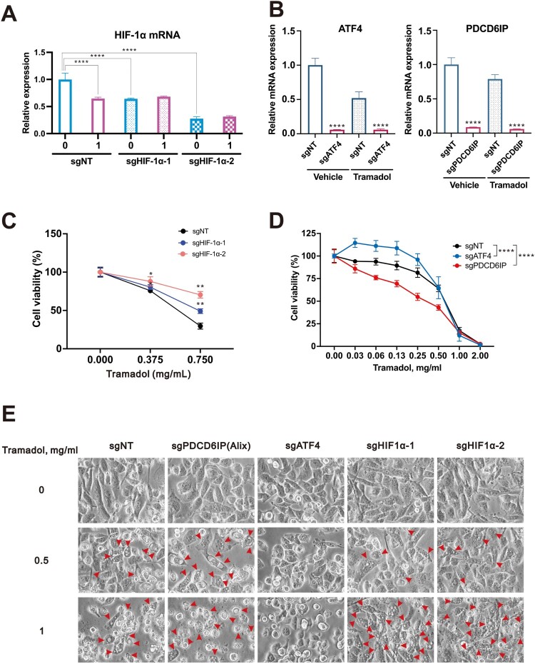 Figure 17