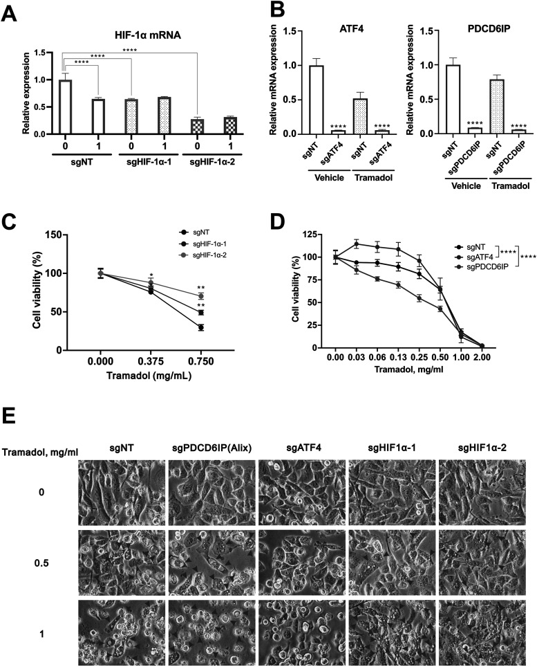 Figure 18
