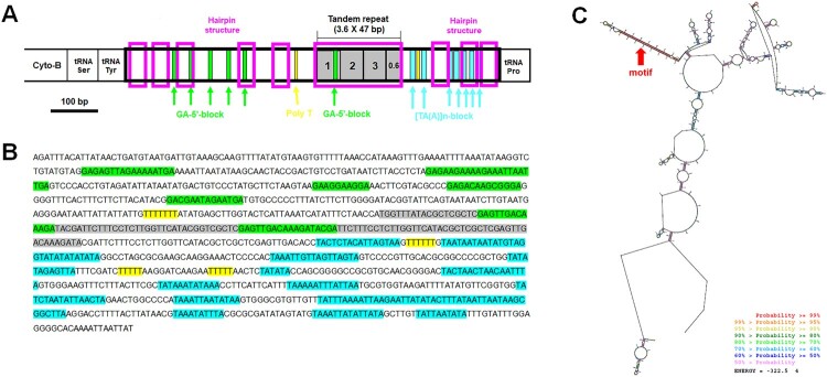 Figure 13