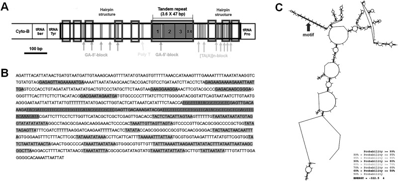 Figure 14