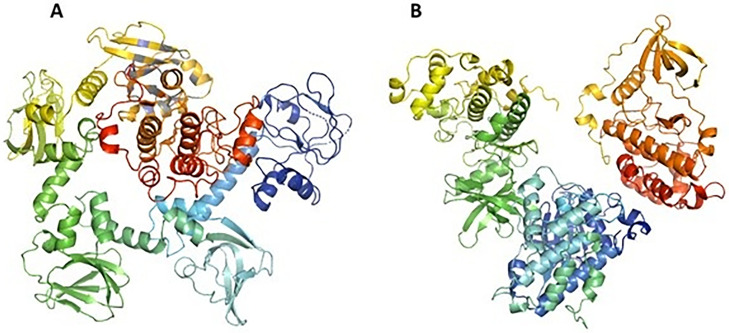 Fig 2
