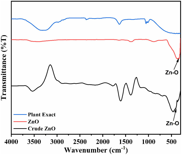 Fig 6