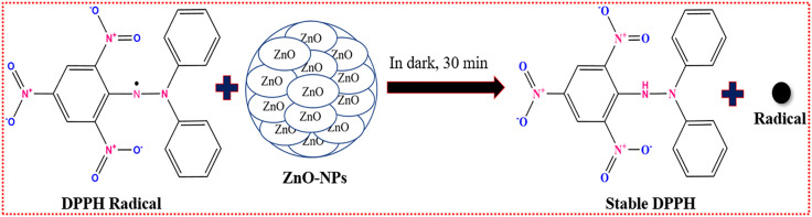 Fig 11