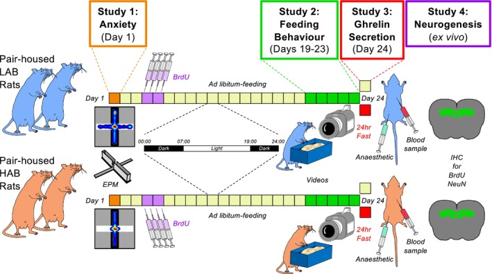 FIGURE 1