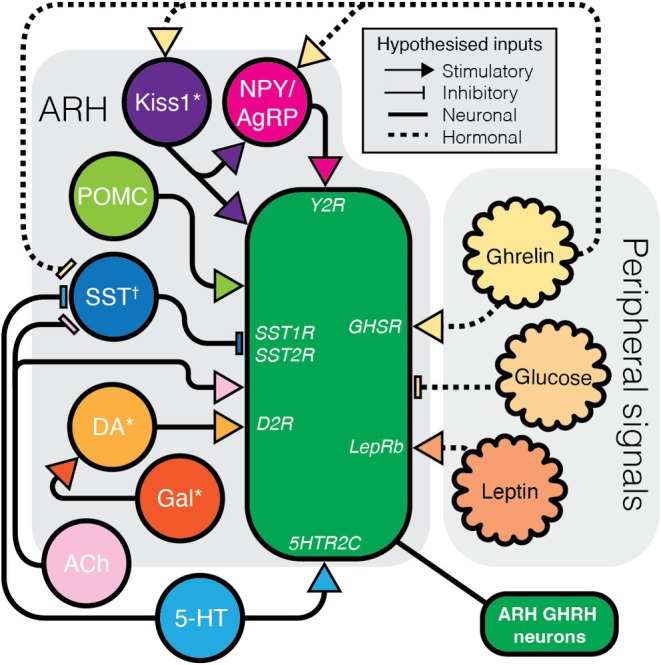 FIGURE 3