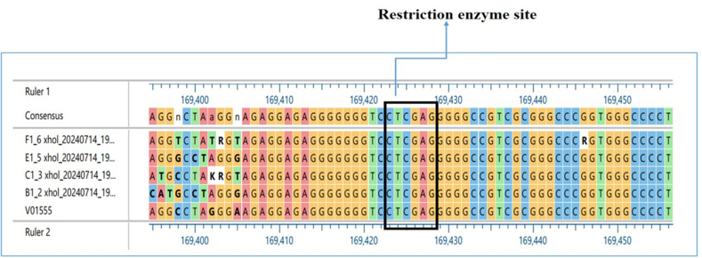Figure 3