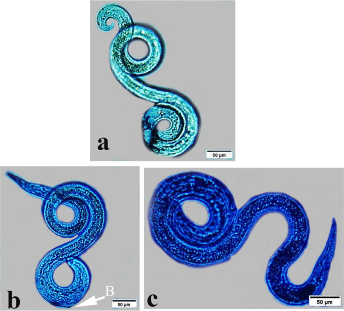 Figure 10