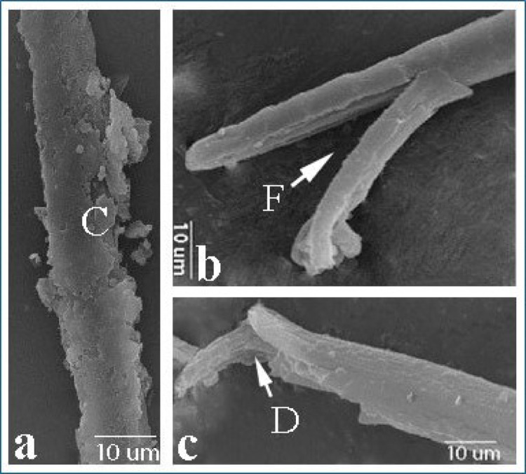 Figure 15