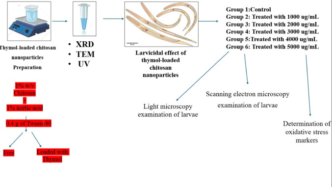 Figure 18