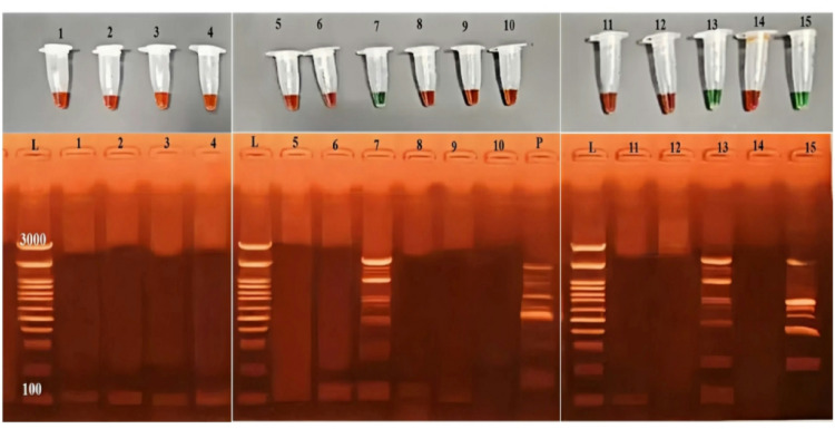 Figure 4