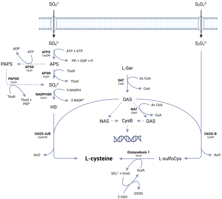 Figure 9