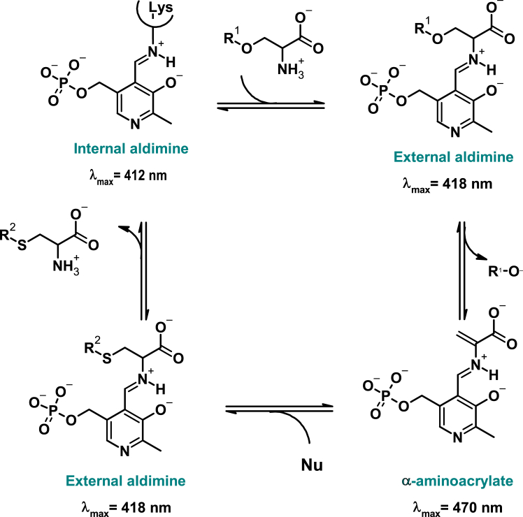 Figure 10