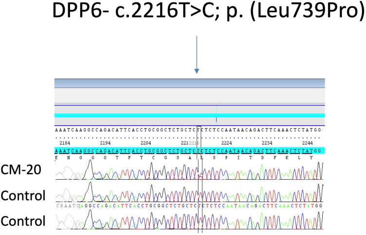 Figure 4