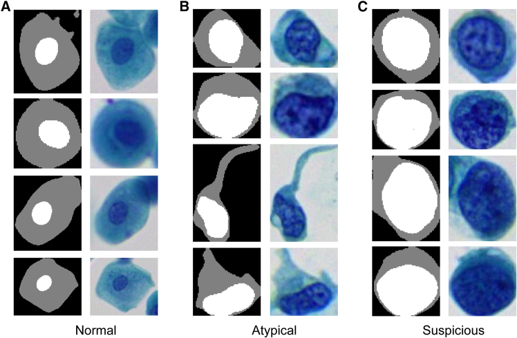 Figure 2