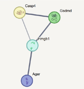 Figure 15