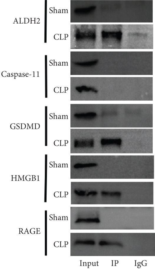 Figure 17