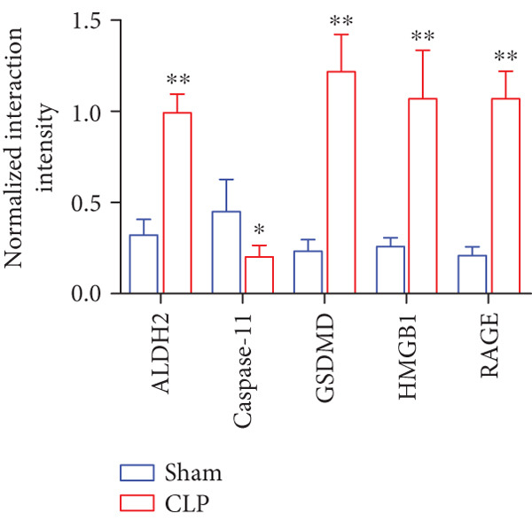 Figure 18