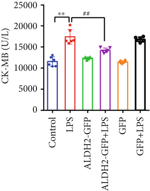 Figure 19