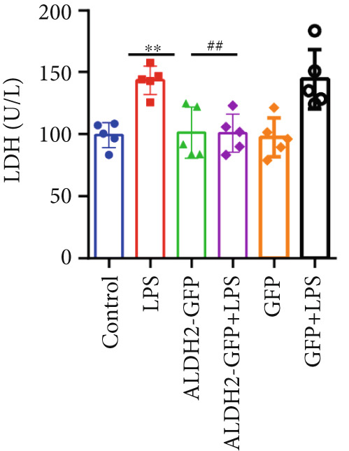 Figure 21