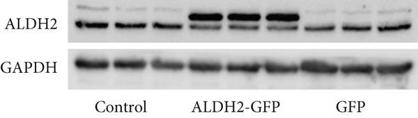 Figure 22