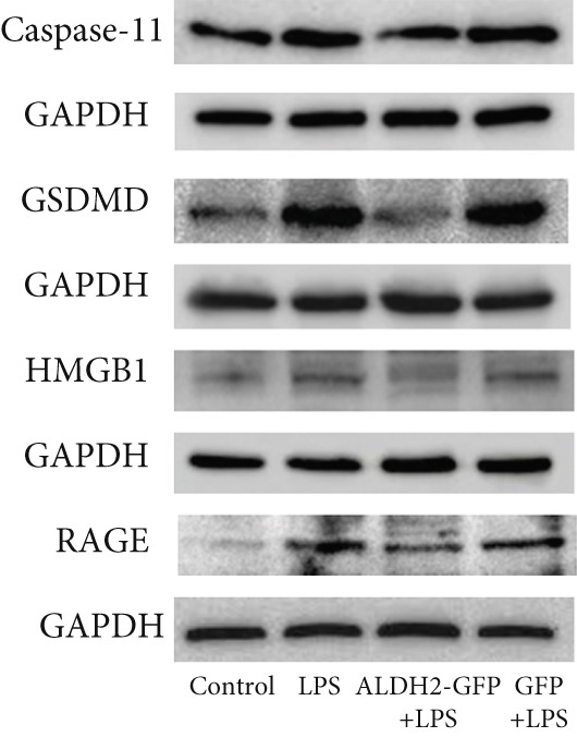 Figure 23