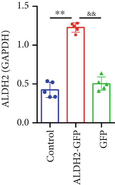 Figure 24