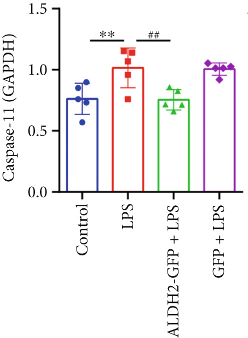 Figure 25