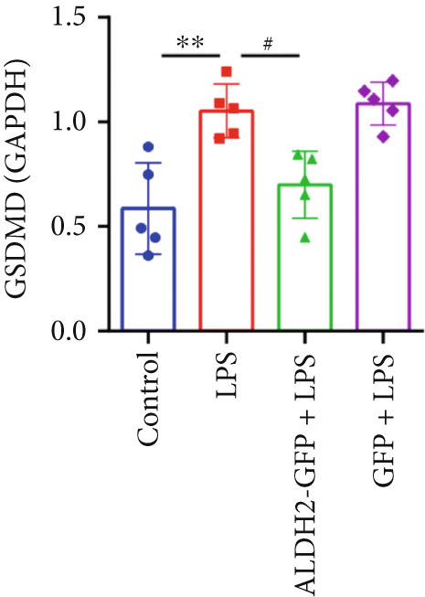 Figure 26
