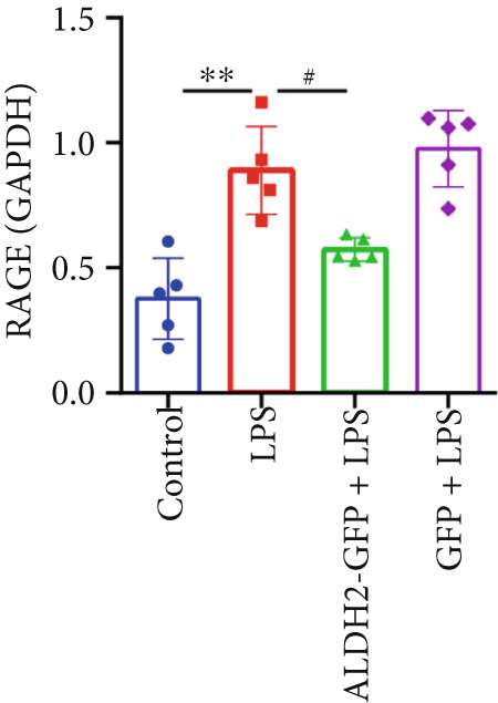 Figure 28