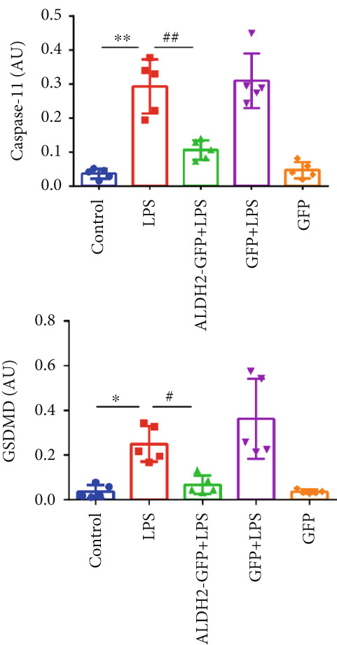 Figure 30