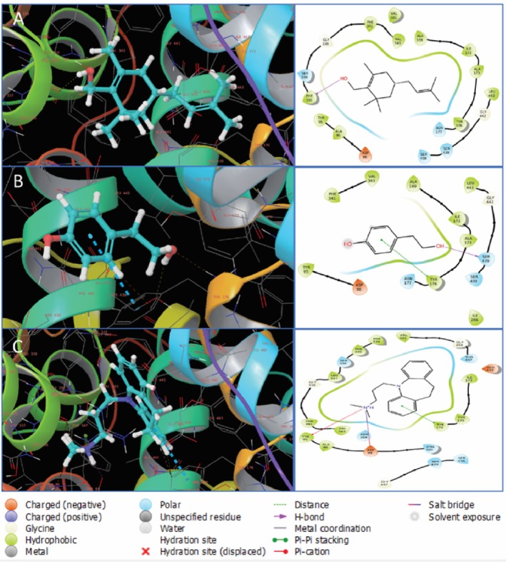 FIGURE 12