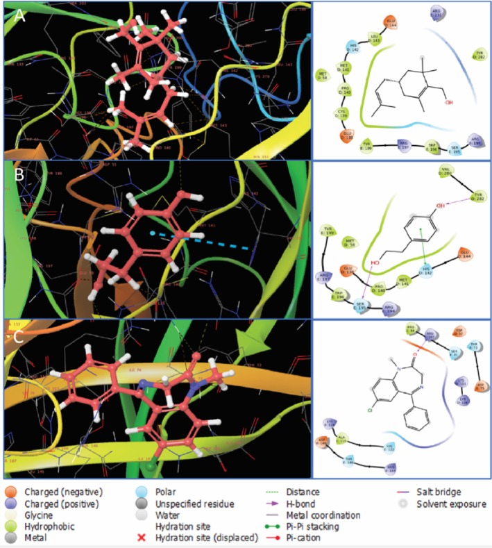 FIGURE 11