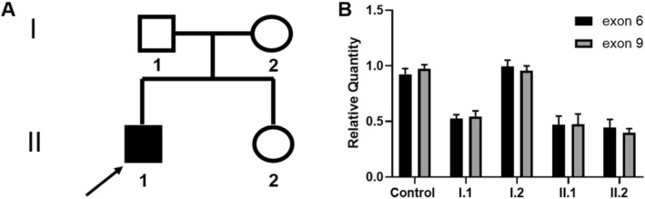 FIGURE 1