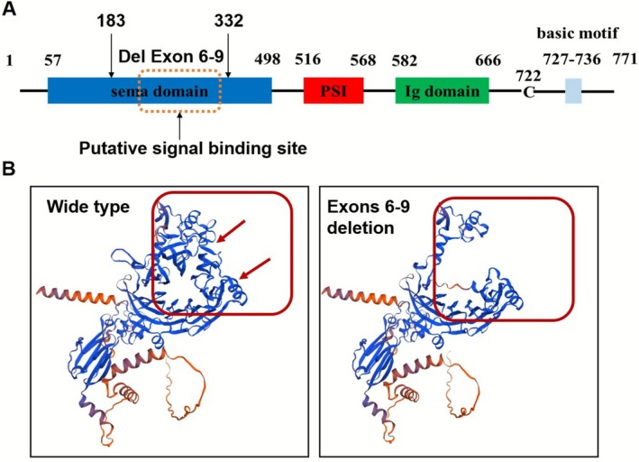 FIGURE 2