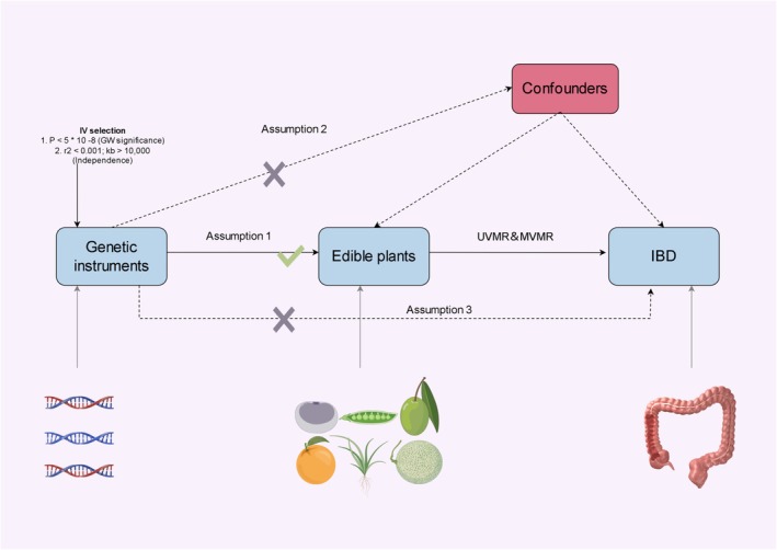 FIGURE 1