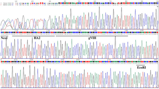 FIGURE 3