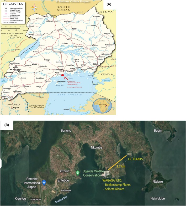 FIGURE 3