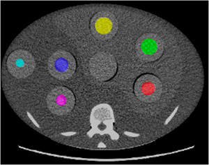 FIGURE 2