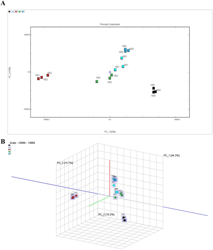 FIGURE 4